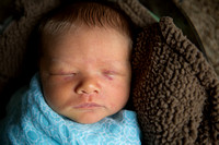 Barnett newborn (high resolution)